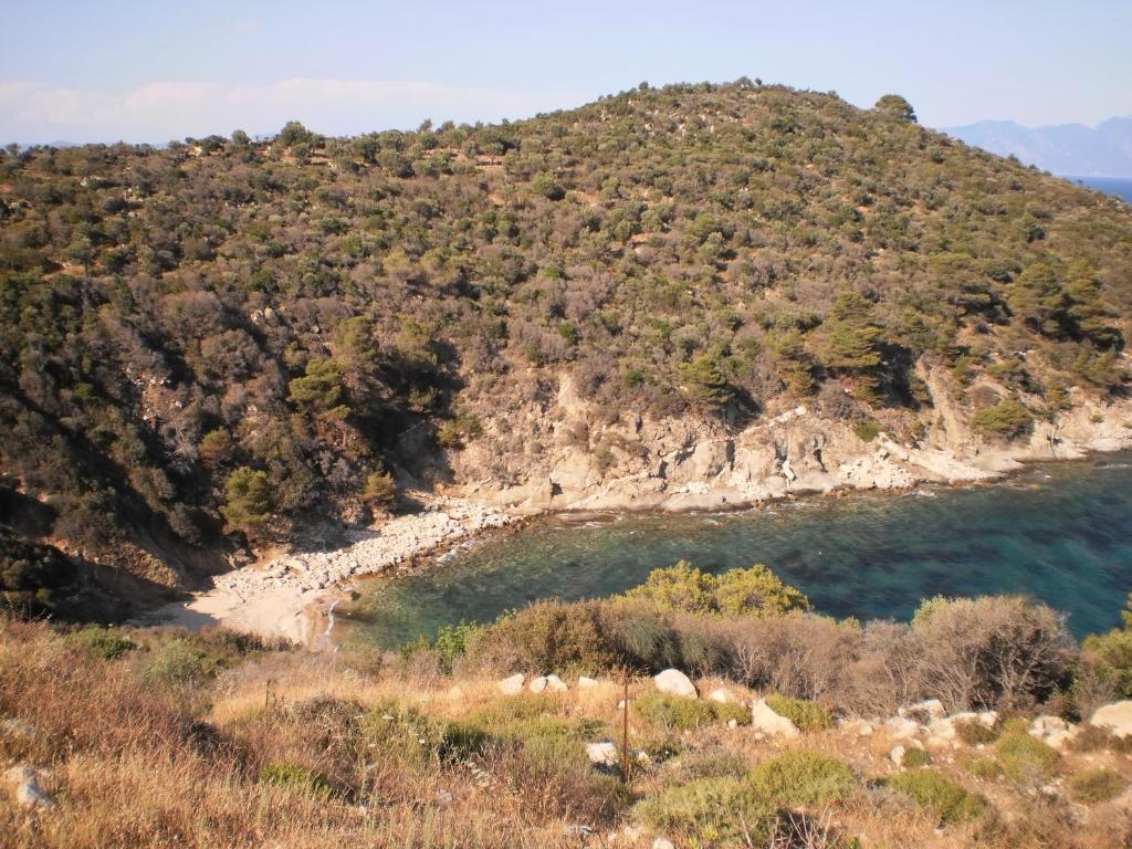 Vergina Pension Сарти Екстериор снимка